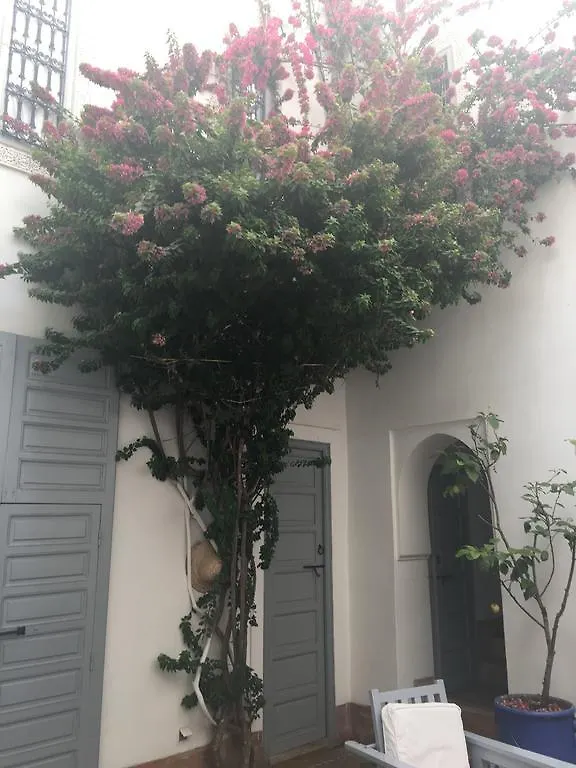 ***  Riad Ariha Marrakesh Morocco